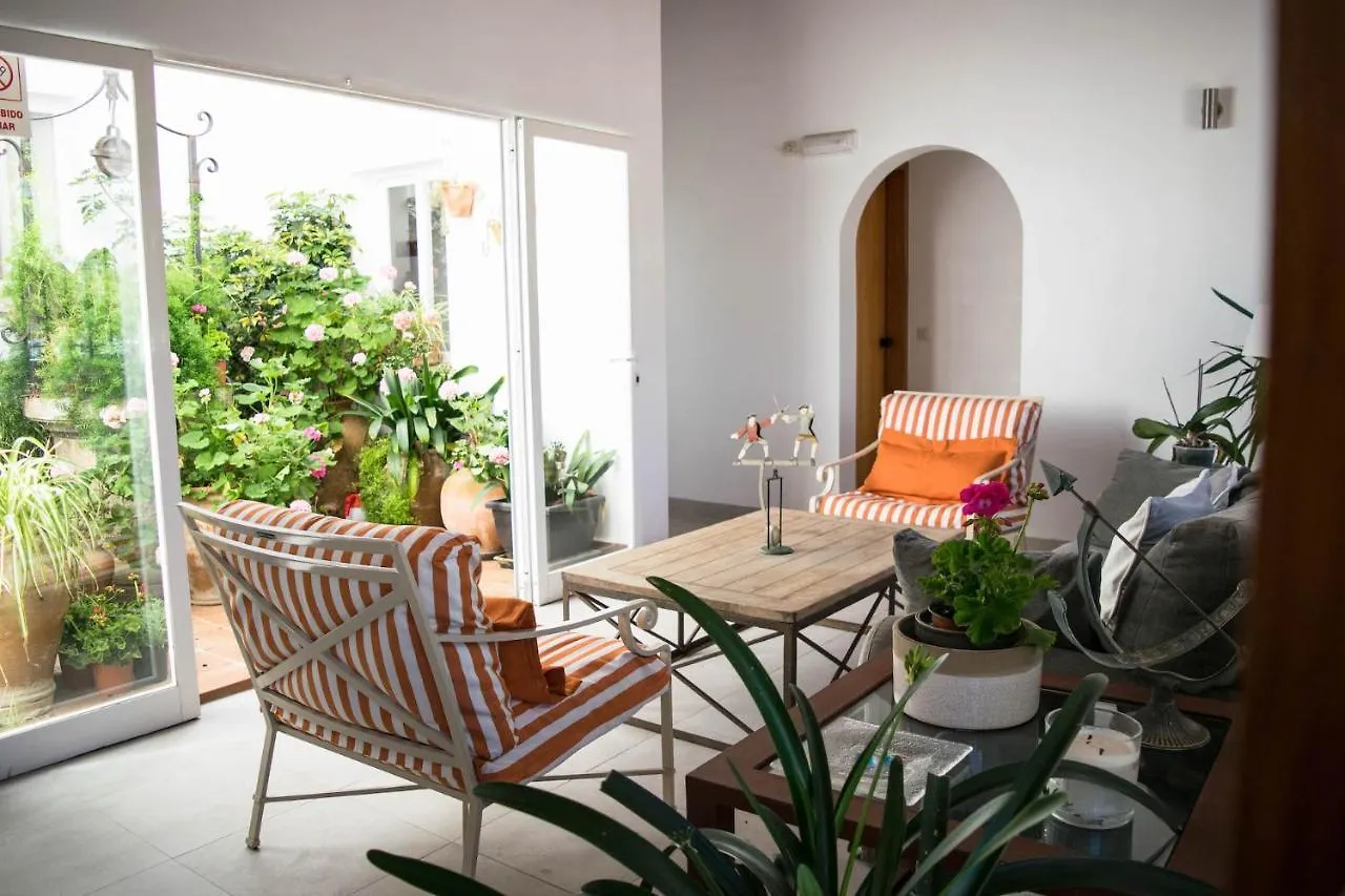 Villa Alexia - Apartment Coral - Puerto Pollensa